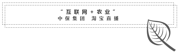 中保農(nóng)藥1.png